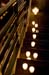2006_10_7-7_42_IMG_8303